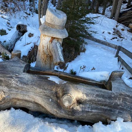 Ferienwohnung 4 Personen Alleinlage Am Wald Naehe Skigebiet Hochzeiger Jerzens Exteriör bild